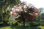 nicks_photos001001.jpg
