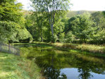 nicks_photos003002.jpg